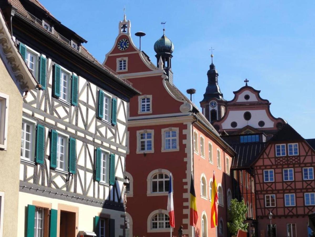 شقة Perfekt Fuer Familien Und Gruppen Nur 10Min Vom Europapark - W6 إيتينهايم المظهر الخارجي الصورة